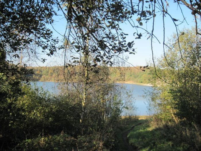 Chalet Kokomo - Gelegen In Bosrijkgebied Van Drenthe Eext Eksteriør billede